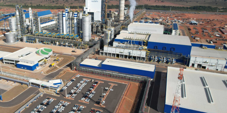 Itaú BBA mantém compra em Suzano, enquanto empresa reforça investimentos após forte 2T25